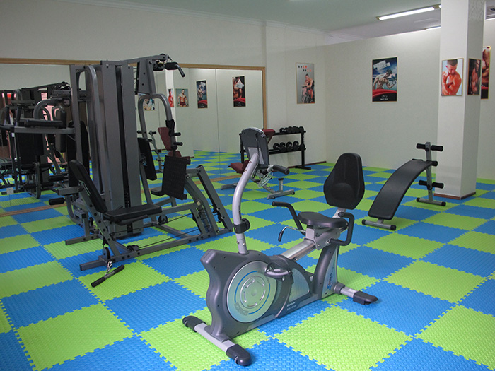 室内健身器材,单位健身器材,健身器材十大品牌-广西haobotiyu-好博健身器材有限公司